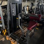 Cybex Eagle Abdominal Machine, Bauchmaschine