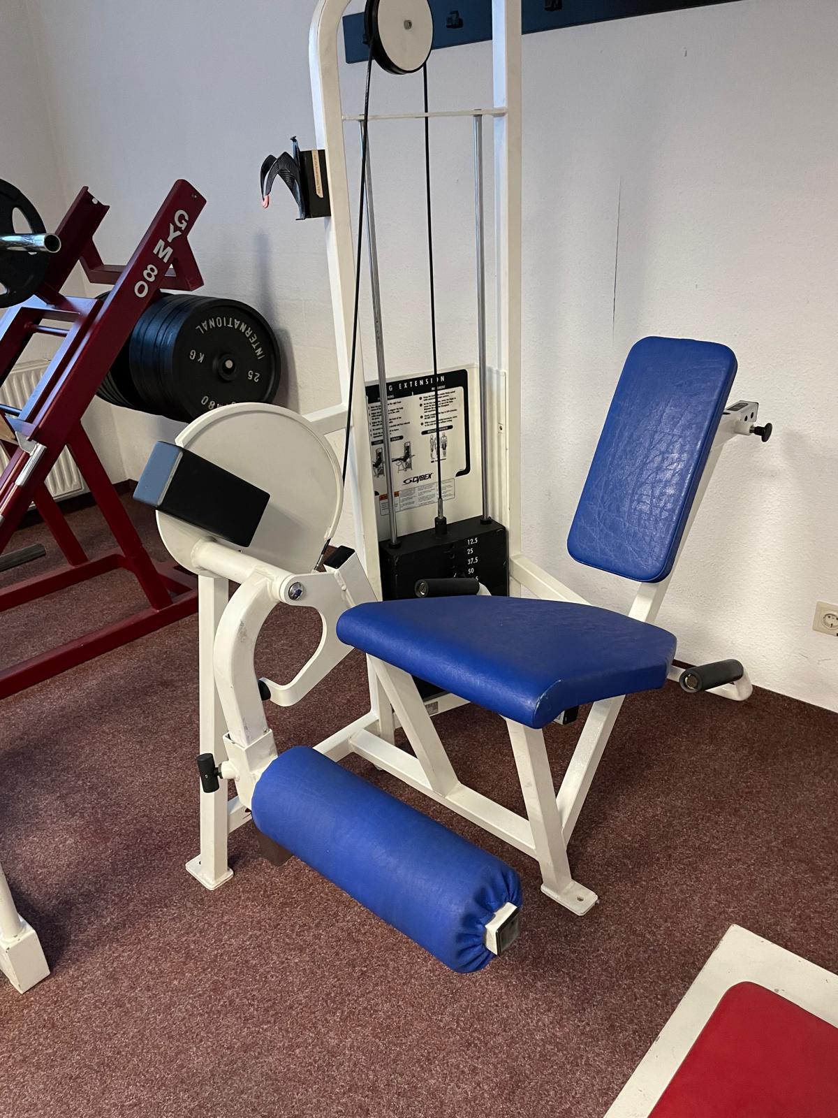 Cybex VR2 Leg Extension