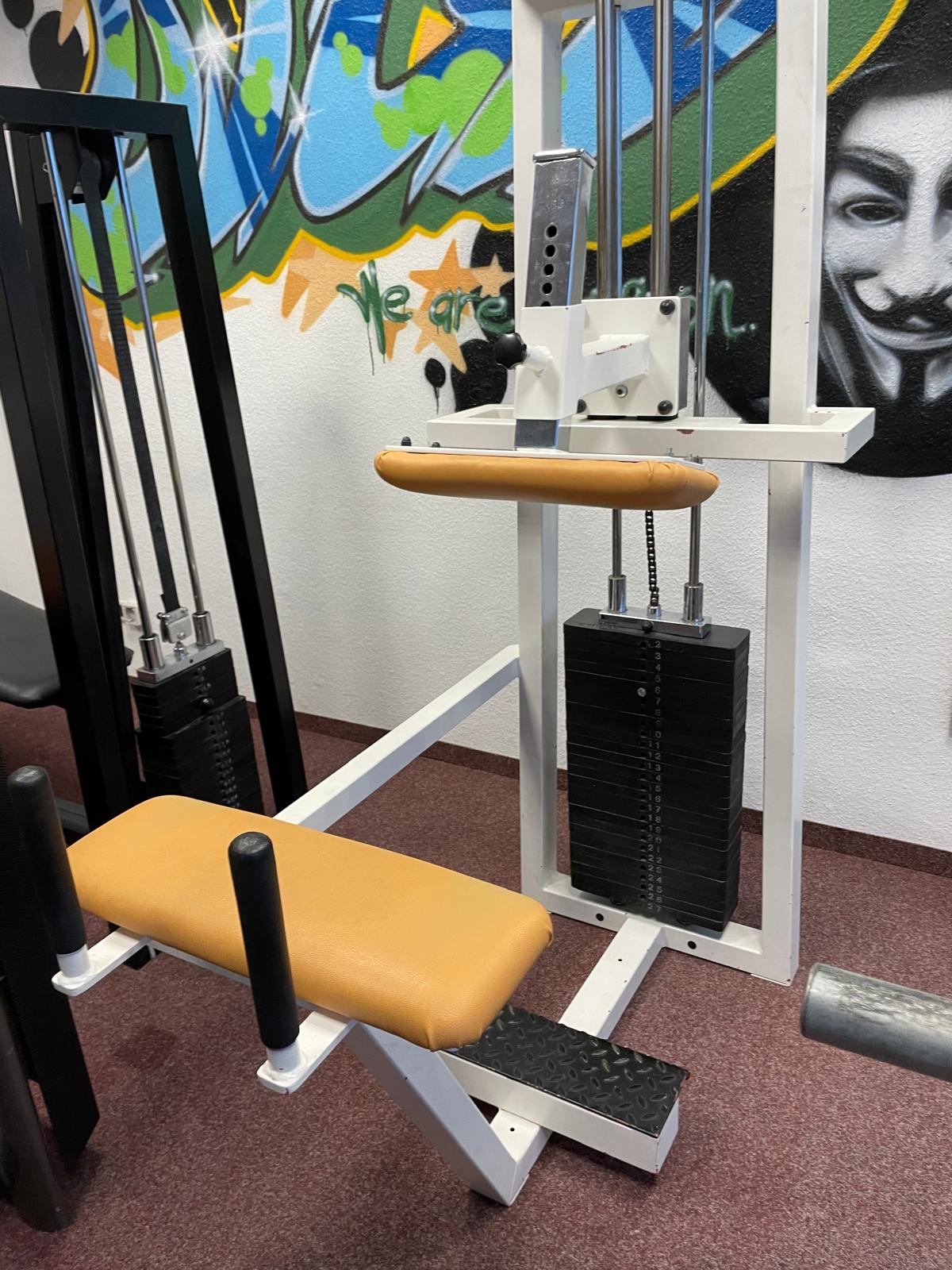 Gym 80 Edition Line Waden Donkey