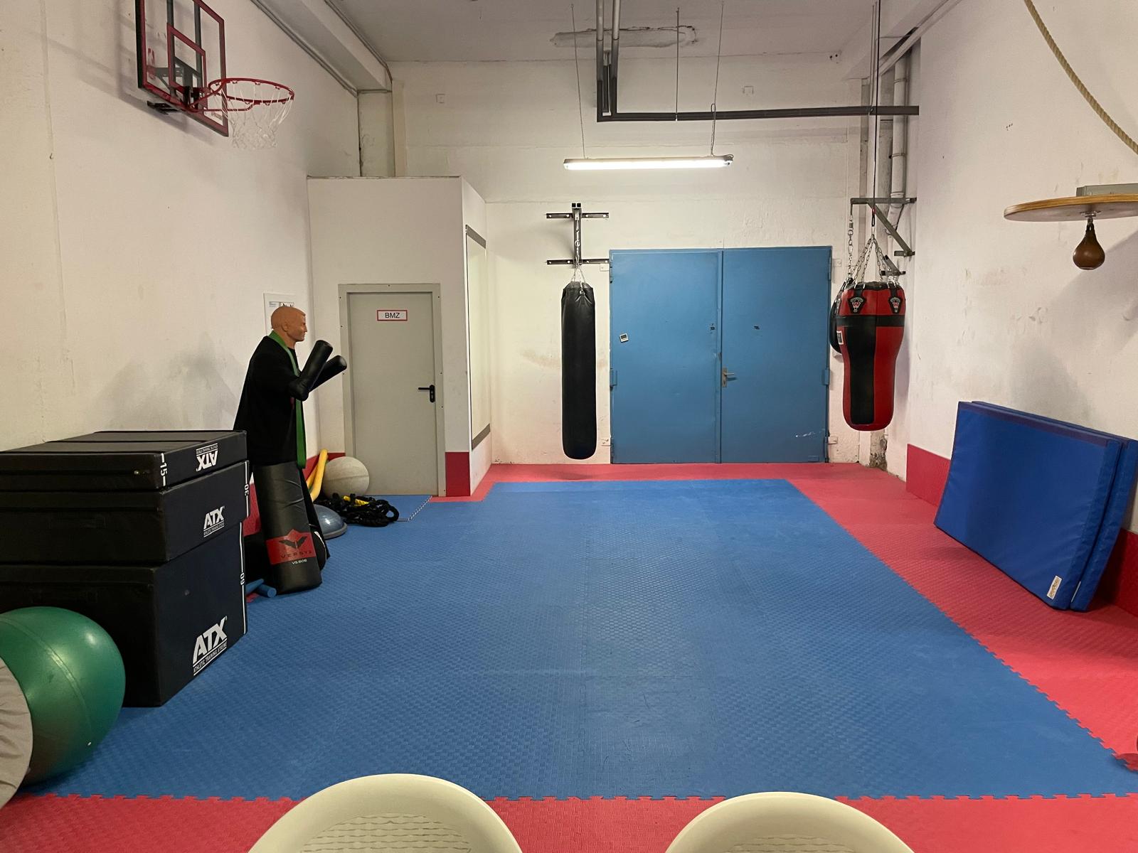 Set: Bodenmatte, Boxsäcke, Bälle. ATX Plyo Box