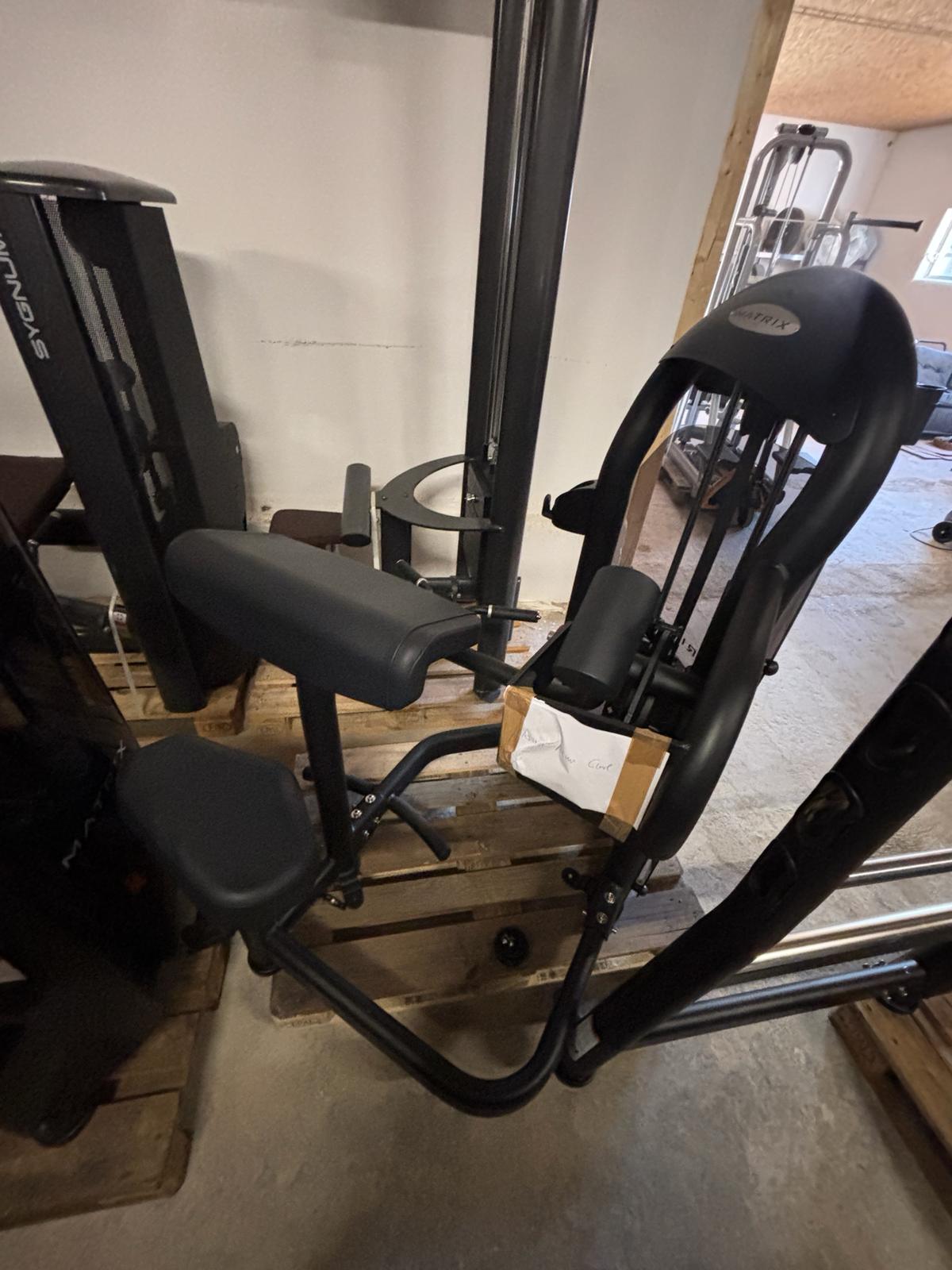 Matrix Aura Arm Curl, Bizeps, Biceps