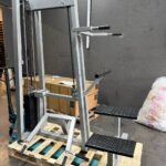 Gym 80 Edition Line Chin Up/Dips Assist