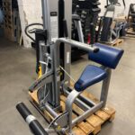 Cybex – Abdominal / Back Extension Kombi