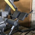 Matrix - Rückenstrecker / Back Extension Bench