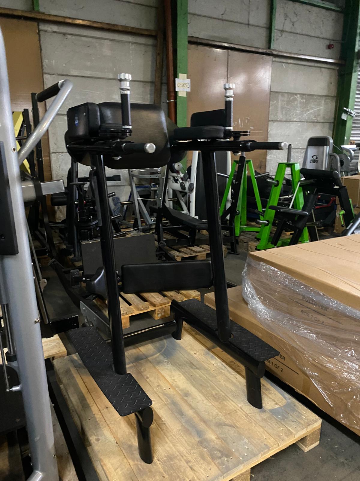 Gym80 Basic Beinhebegerät / Bauchtrainer / Dip Station