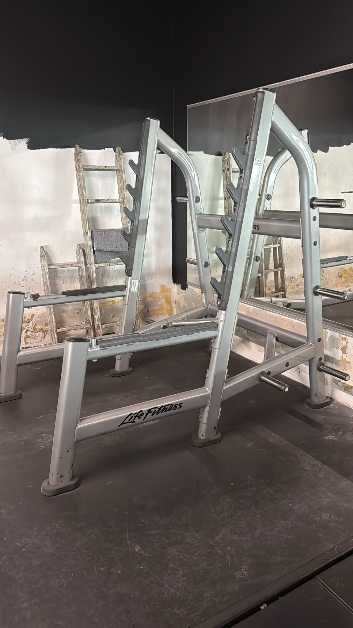 Life Fitness Knoebeugenrack